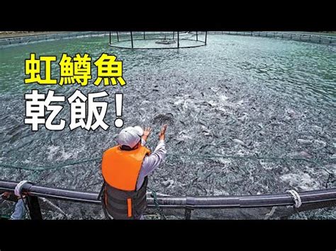 魚的視野|魚的眼睛裡看到的世界是什麼樣子的